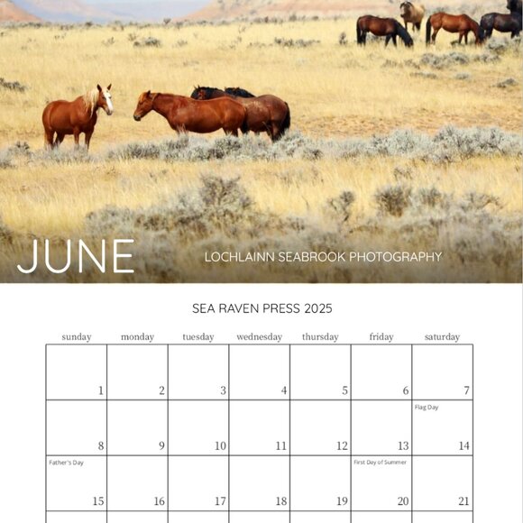Mini 2025 Rocky Mountain Custom Wildlife Calendar For Small Spaces 11.5" x 8" - Picture 7 of 13